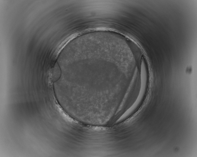 X0000114200801200911200958