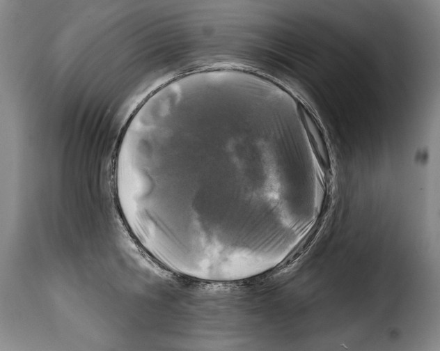 X0000114200806200911200958