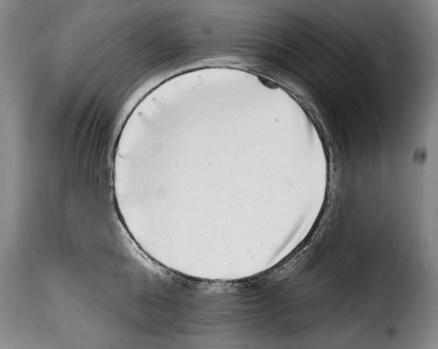 X0000114200808200911200958