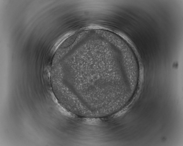 X0000114200809200911200958