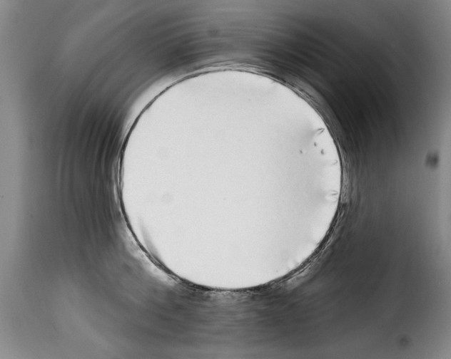 X0000114200812200911200958