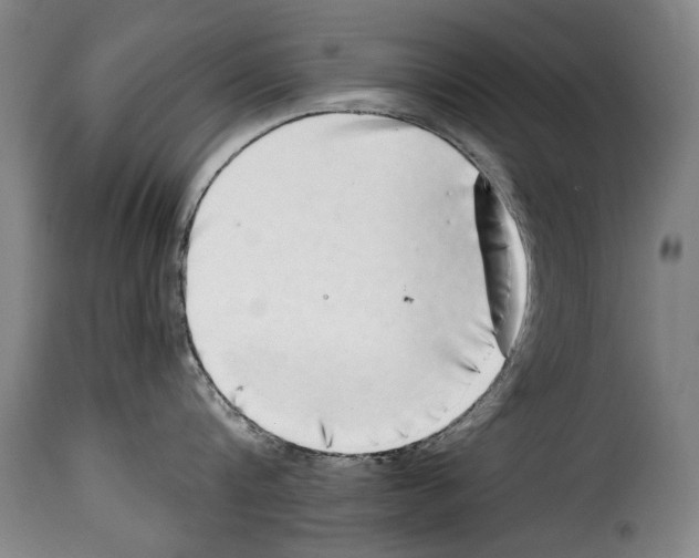 X0000114200816200911200958