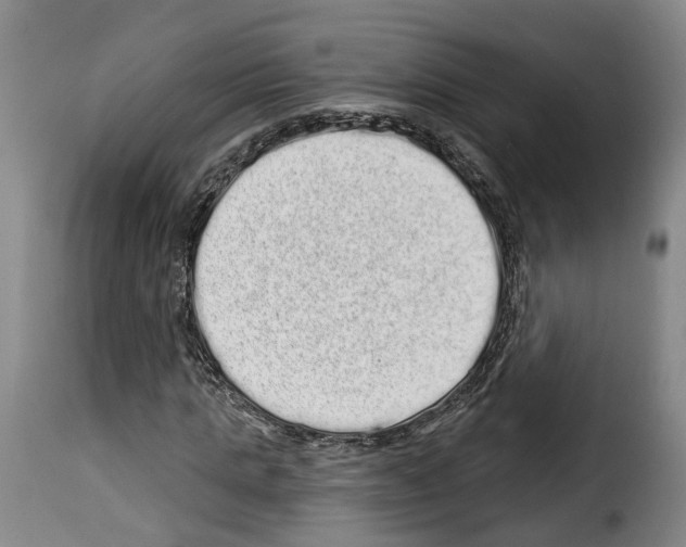 X0000114200821200911200957