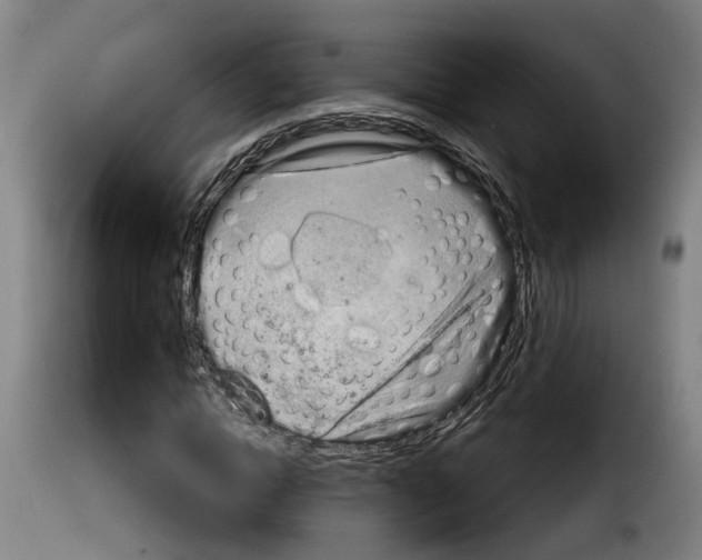 X0000114200822200911200957