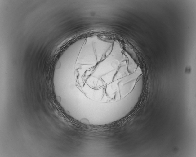 X0000114200824200911200957