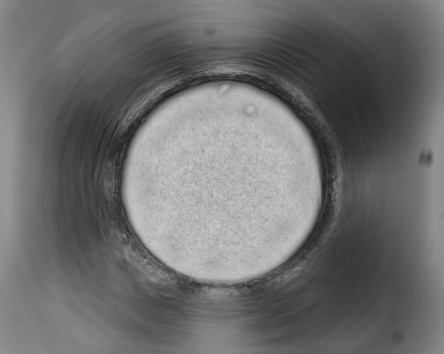 X0000114200825200911200957