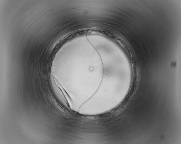 X0000114200826200911200957