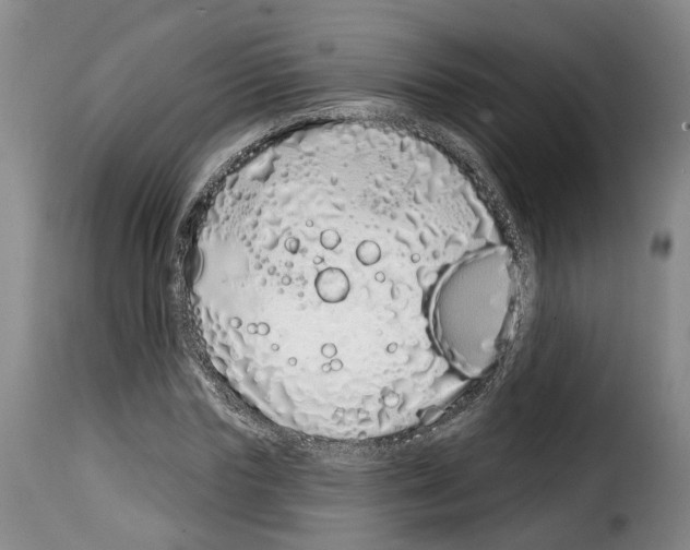 X0000114200827200911200957