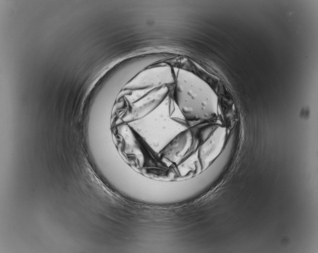 X0000114200828200911200957