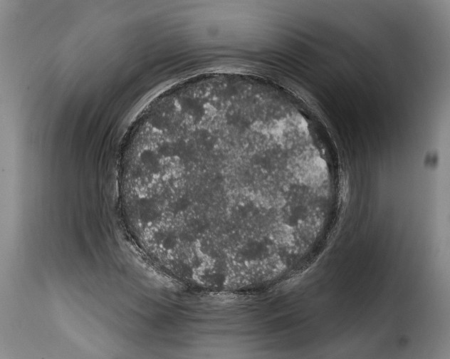 X0000114200829200911200958