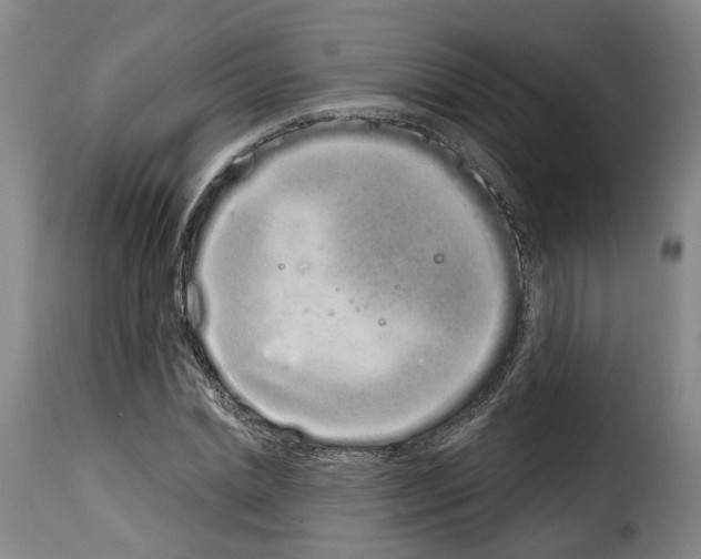 X0000114200830200911200958