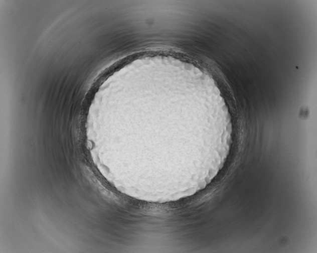 X0000114200831200911200958