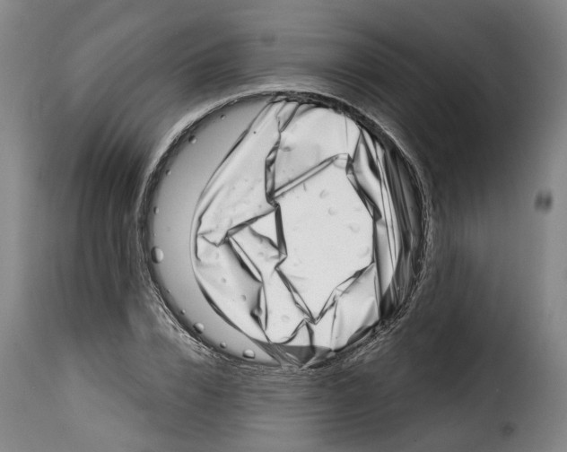 X0000114200832200911200958