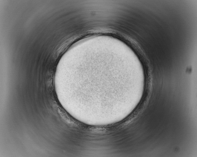 X0000114200833200911200958