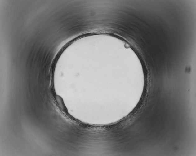 X0000114200838200911200958