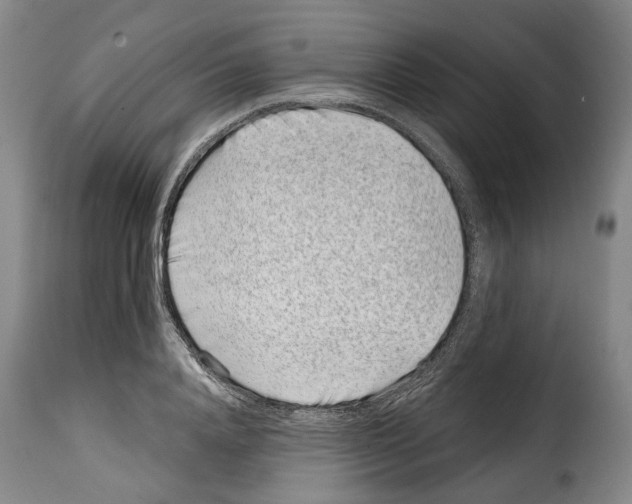 X0000114200840200911200958