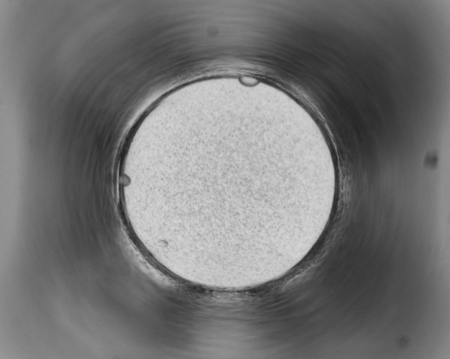 X0000114200843200911200958