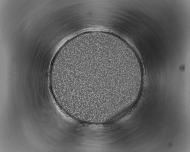 X0000114200845200911200958