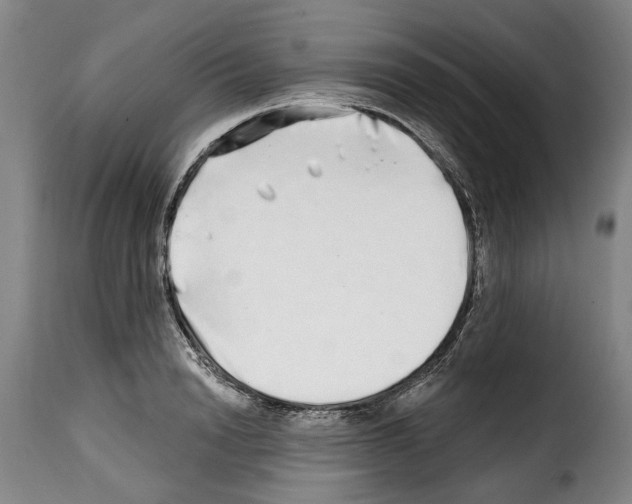 X0000114200846200911200958