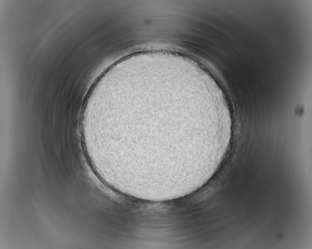 X0000114200847200911200958