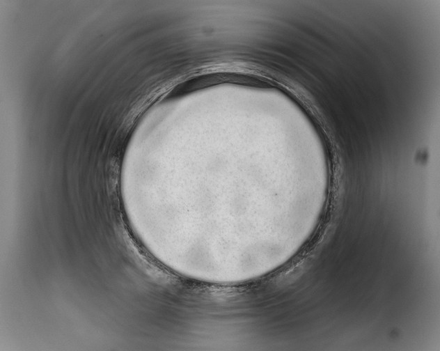 X0000114200849200911200958