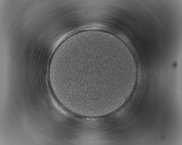 X0000114200850200911200958