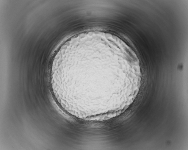 X0000114200851200911200958