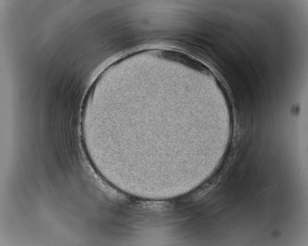 X0000114200853200911200958