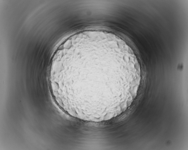 X0000114200855200911200958