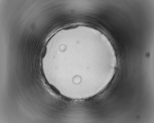 X0000114200858200911200958