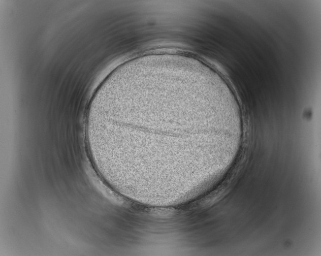 X0000114200859200911200958