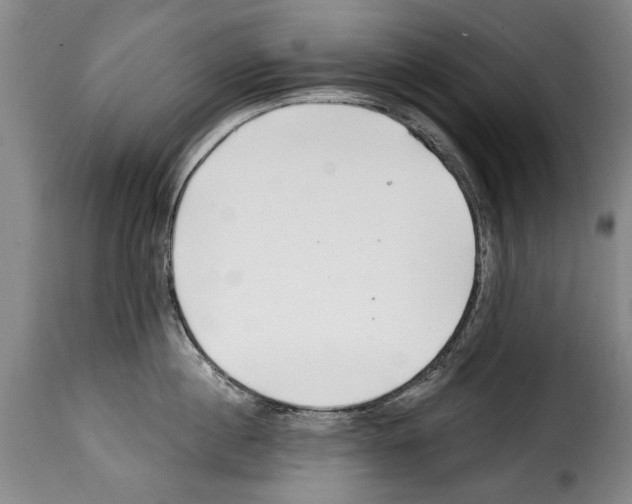 X0000114200860200911200958