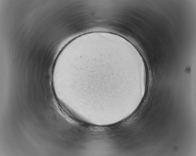 X0000114200862200911200958