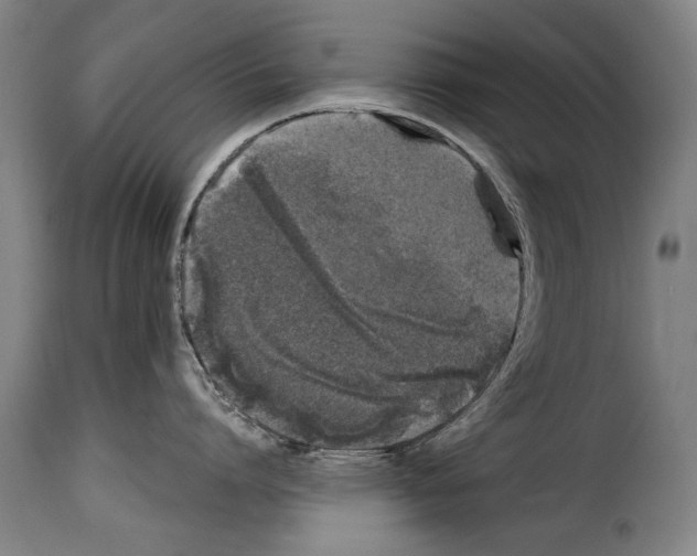 X0000114200864200911200958