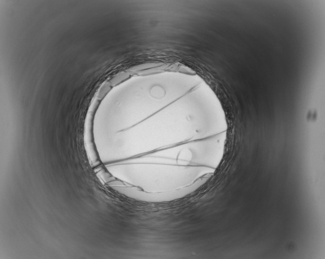 X0000114200865200911200957