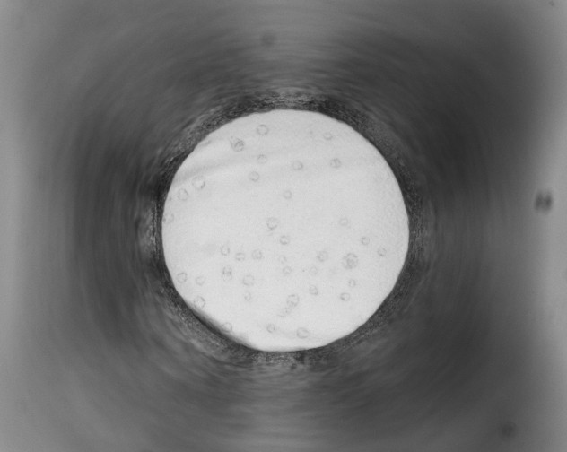 X0000114200866200911200957