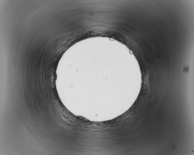 X0000114200868200911200957