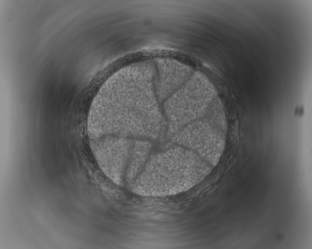 X0000114200870200911200957