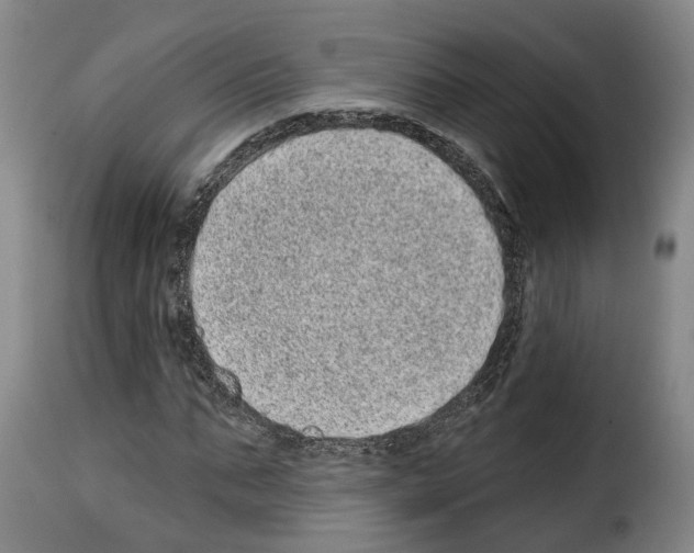 X0000114200871200911200957