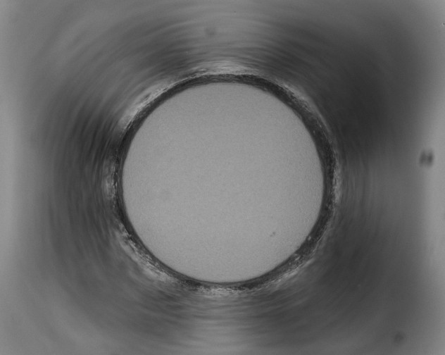 X0000114200873200911200957