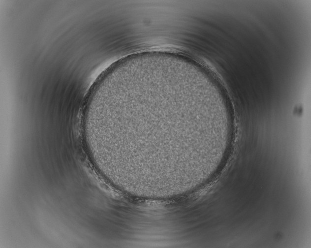 X0000114200875200911200957