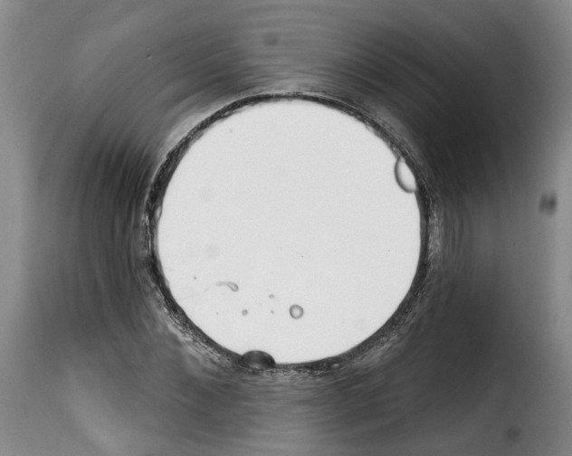 X0000114200876200911200957