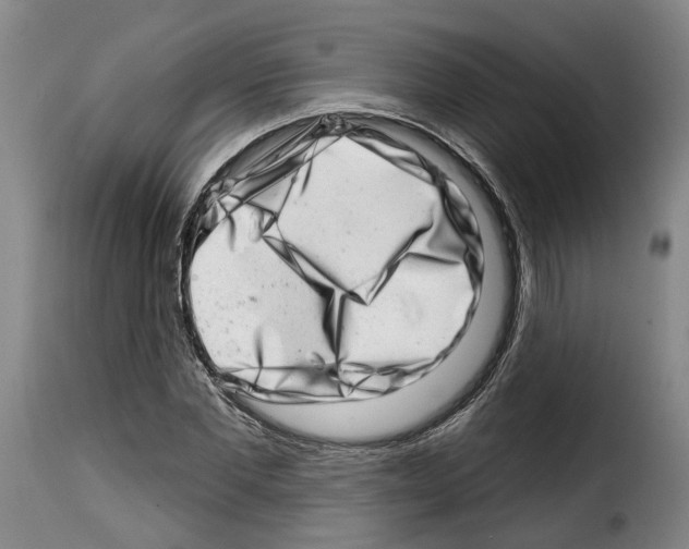 X0000114200877200911200957