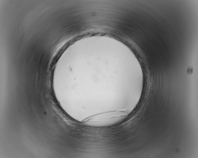 X0000114200878200911200957