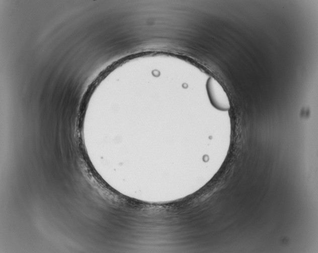 X0000114200880200911200957