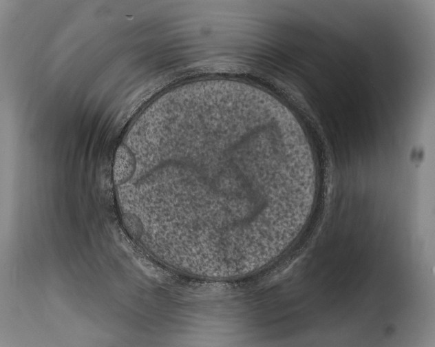 X0000114200881200911200957