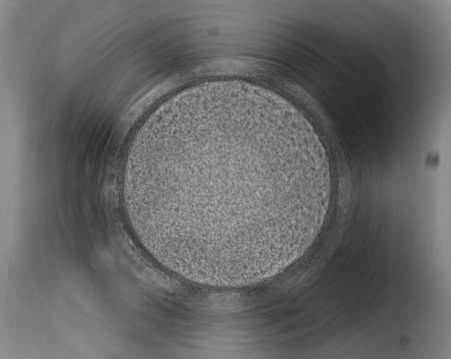 X0000114200882200911200957