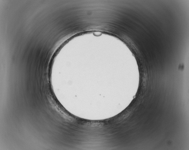 X0000114200884200911200957