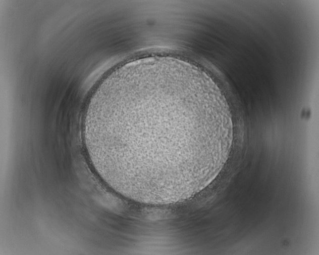 X0000114200886200911200957