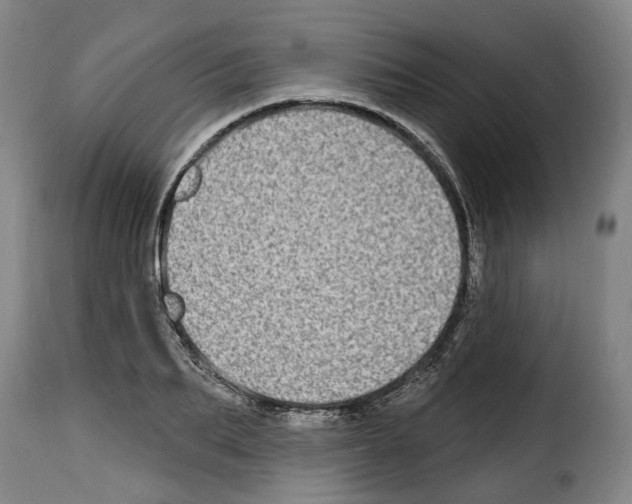 X0000114200887200911200957